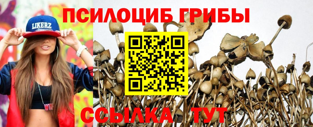 Галлюциногенные грибы MAGIC MUSHROOMS  Вход с VPN  закладки  Алейск 